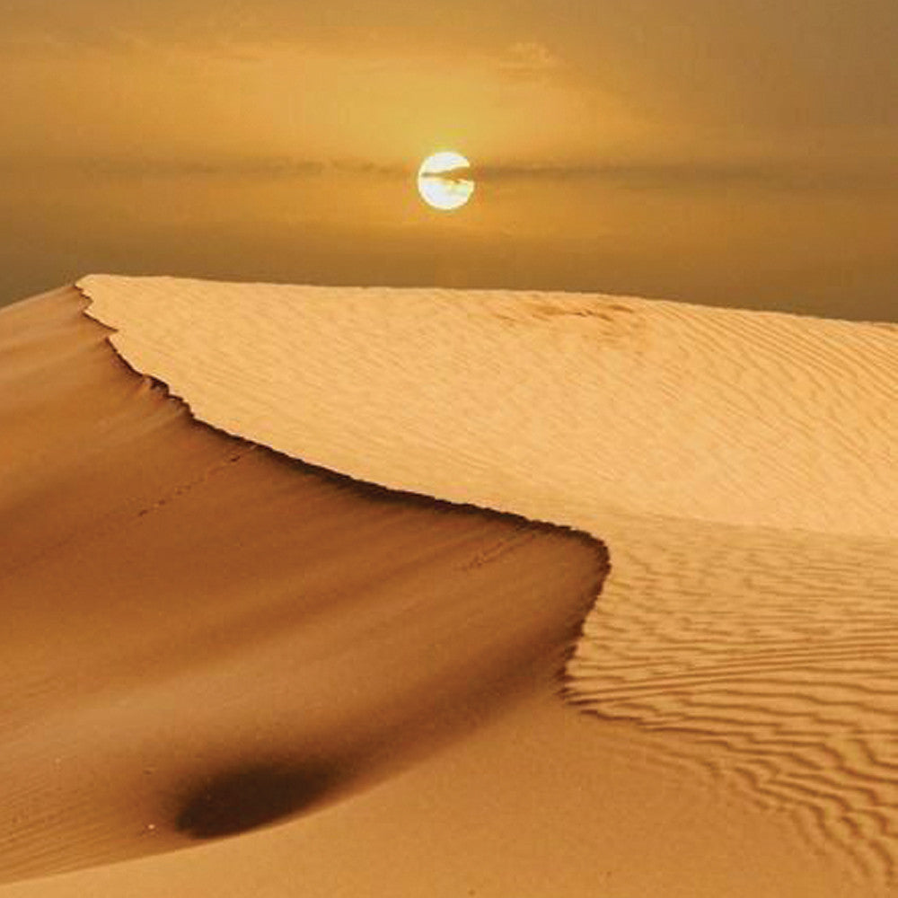 Sahara Dreaming
