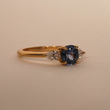 Willow Ring with Ceylon Sapphire and Diamonds
