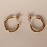 Confetti Hoops