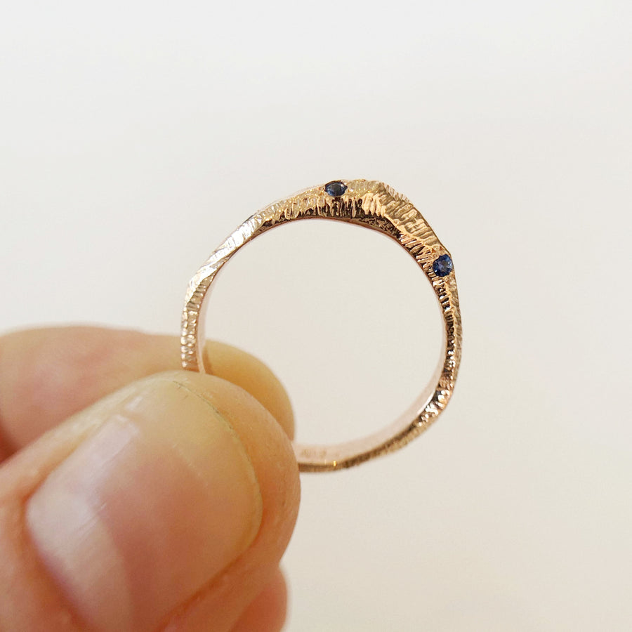 Kamiyama Peak Ring