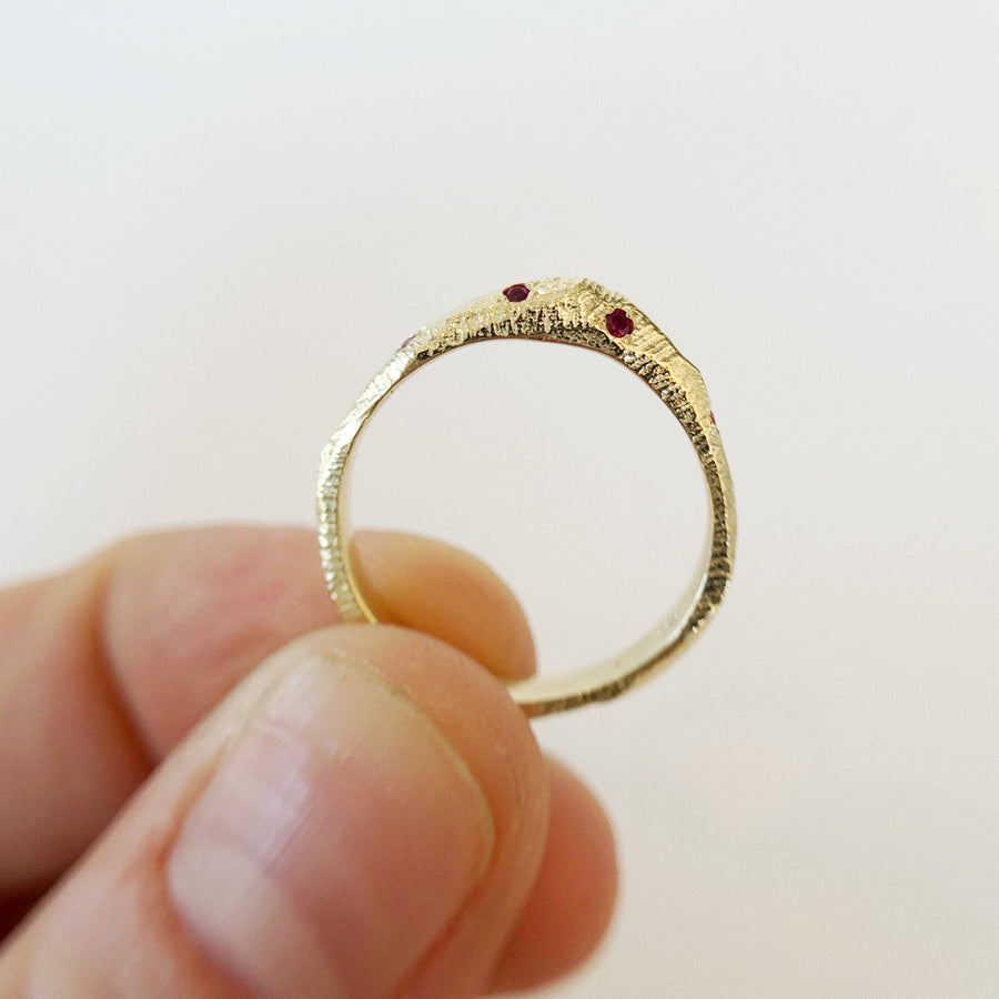 Kamiyama Peak Ring